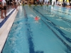 Img 19