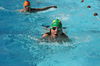 Img 31