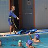 Img 37