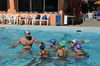 Img 40