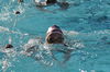 Img 90