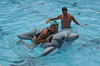 Img 170