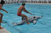 Img 172