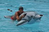 Img 173